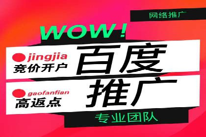 百度SEM广告投放的五大成功案例分享