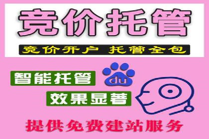 SEM托管公司案例分享：精准营销之道